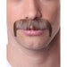 Brown Character Costume Moustache