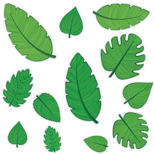 Tropical Leaf Cutouts, 12 Count