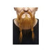 Strawberry Red Moustache and Beard Costume Set