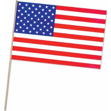 American Plastic Flag, 11 x 17 Inches