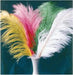 Small Pink Ostrich Plume