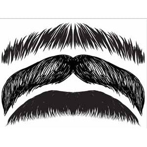Stachetats Junior Gunther Stache