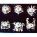 Skull Rings with Eye Details, 24 Count Display