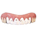 Billy Bob Platinum Teeth
