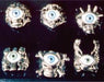 Skull Rings with Eye Details, 24 Count Display