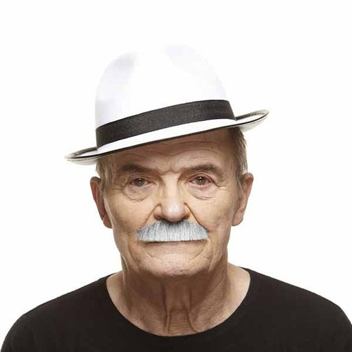 Grey and White Painter Brush Moustache