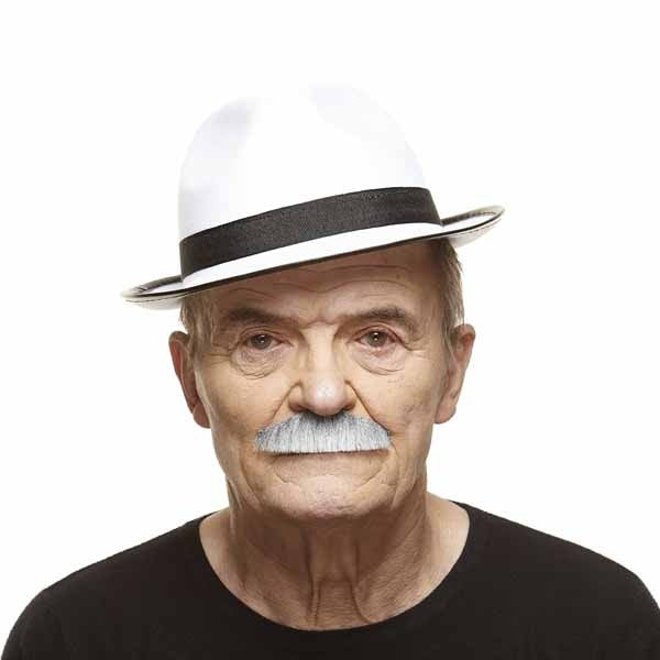 Grey and White Painter Brush Moustache