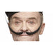 Black Costume Moustache, 21 cm x 11 cm