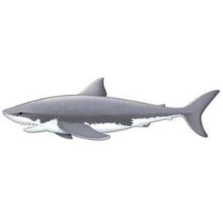 Jointed Shark Decoration, 5 Feet 11 Inches