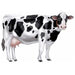 Jointed Cow Decoration, 34.5 Inches