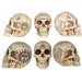 7-Inch Fortune Telling Skull Halloween Decoration