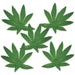 Tropical Fern Leaves, 20 Count