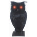 LIGHT UP BLACK OWL 10"X6"X4"