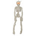 Light-Up Mummy Skeleton Halloween Prop