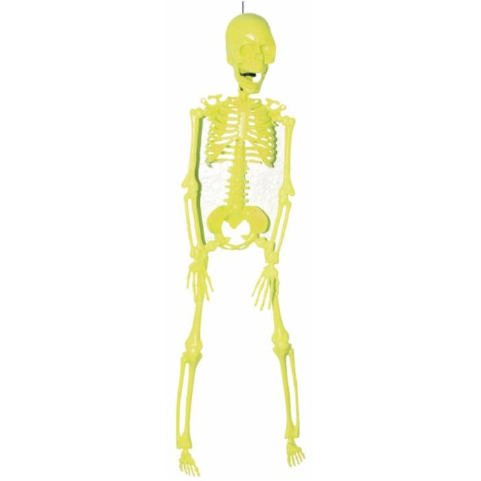 Neon Skeleton Halloween Decoration Assortment