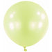 PISTACHIO GREEN 24" ANAGRAM LATEX 4/BG