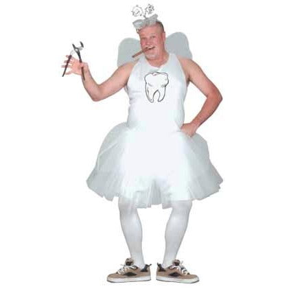 Tooth Fairy Adult Costume, One Size