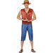 One Piece Luffy Adult Costume, Large