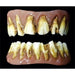 Dental Distortions Dead Fred Zombie FX Fangs