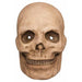 Catacomb Skull Halloween Mask