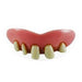 Billy Bob Teeth Assortment Display
