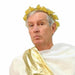 Roman Laurel Wreath Fabric Costume Headpiece
