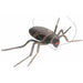 Small Cockroach Halloween Prop
