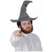 Felt Wizard Hat