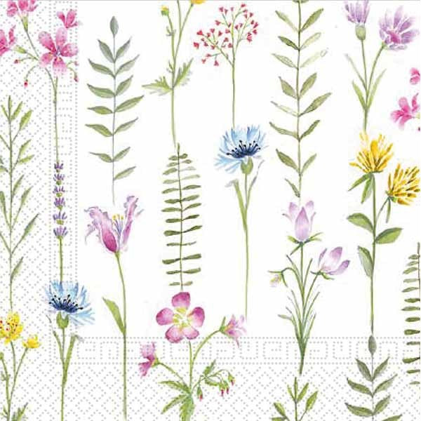 Botanical 3-Ply Luncheon Napkins, 20 Count