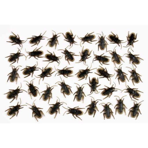 Creepy Creature Cockroach Decorations, 40 Count
