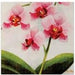 Orchid 3-Ply Luncheon Napkins, 20 Count