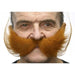 Strawberry Red Self-Adhesive Costume Moustache