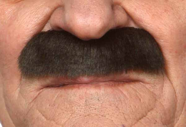 Dark Brown Costume Moustache, 8 cm x 3 cm