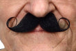 Black Mini Curled Self-Adhesive Moustache, 9.5 x 5 cm