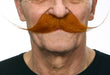 Strawberry Red Hook Moustache Costume Accessory