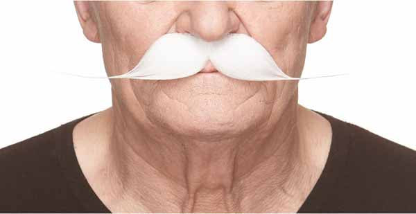 MOUSTACHE WHITE 25 CM X 6 CM