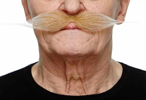 Blonde and White Costume Moustache, 27 cm