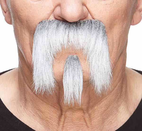 White and Grey Moustache and Square Goatee Costume Set