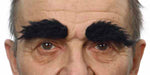 Black Costume Eyebrows, 6 cm x 3 cm
