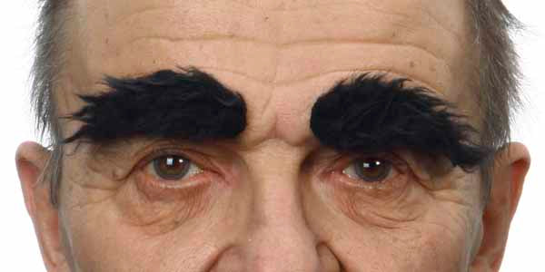 Black Costume Eyebrows, 6 cm x 3 cm