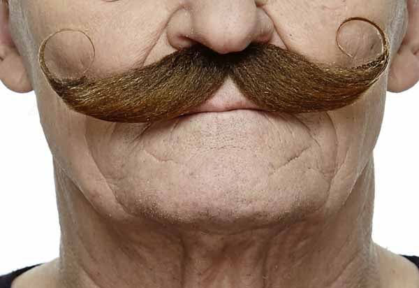 Medium Brown Costume Moustache, 13 cm x 4 cm
