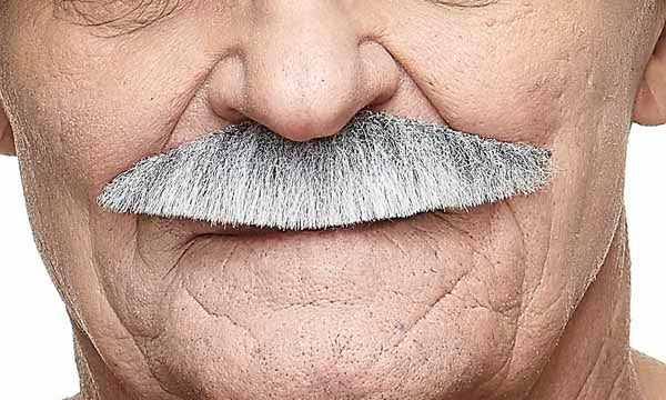 White and Grey Costume Moustache, 11 cm