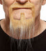 Blonde and White Costume Moustache and Beard
