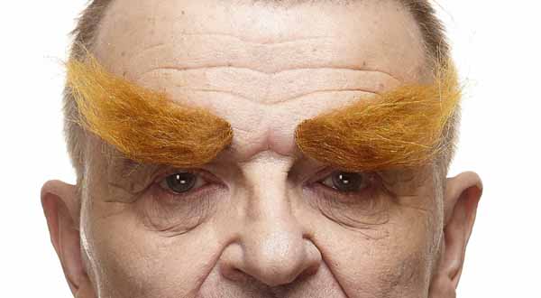 Strawberry Red Costume Eyebrows, 19 x 3 cm