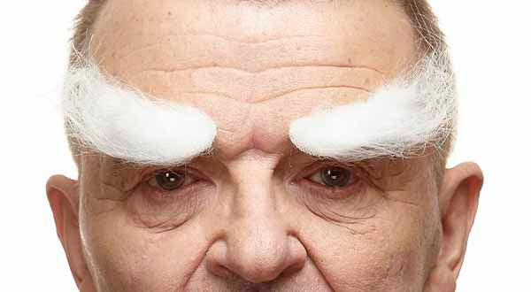 White Costume Eyebrows, 19 x 3 cm
