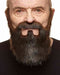 Thick Brown Moustache and Beard Costume Accessory