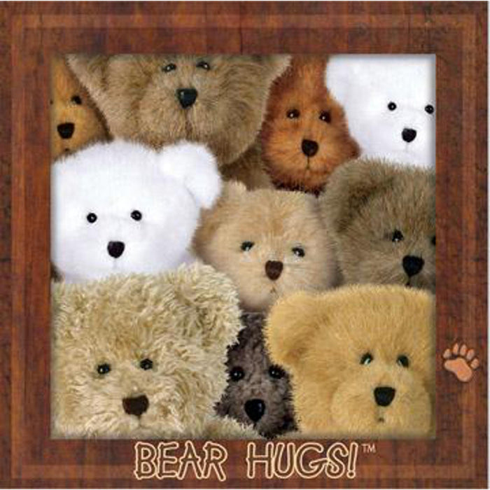 Boyds Bears, Bear Hug BN 2-ply 16/PK