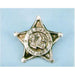 "Deputy Sheriff Badges - Pack Of 12"