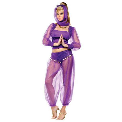 Dreamy Genie Adult Costume.