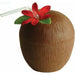 "Fun And Festive Plastic Coconut Cup"